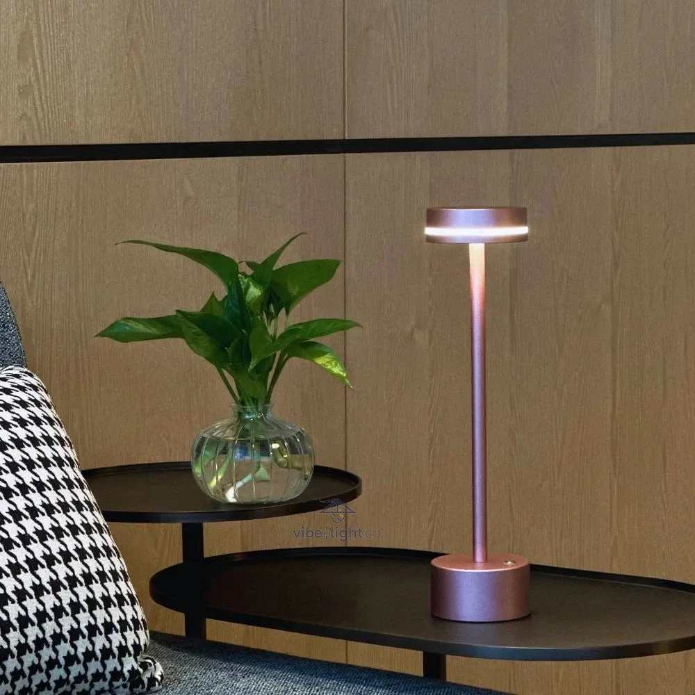 Cosmic Elegance Modern Designer LED Decorative Lighting Fixture For Home Interiors - Image 6